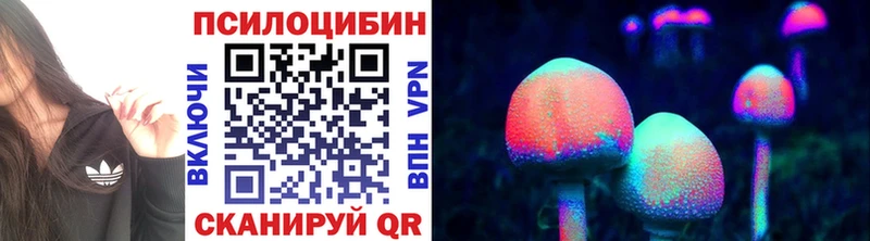 купить наркоту  Полевской  shop какой сайт  Галлюциногенные грибы Psilocybe  ссылка на мегу как войти 