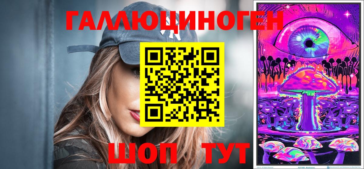 Псилоцибиновые грибы Psilocybe  Полевской  Галлюциногенные грибы Magic Shrooms 