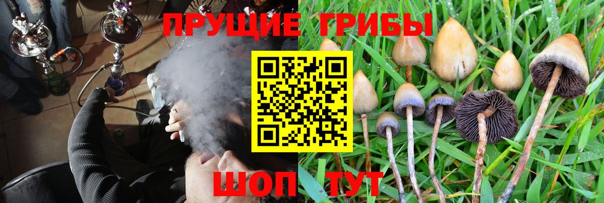 Галлюциногенные грибы Psilocybe  Псилоцибиновые грибы GOLDEN TEACHER  Вход с VPN  Полевской 