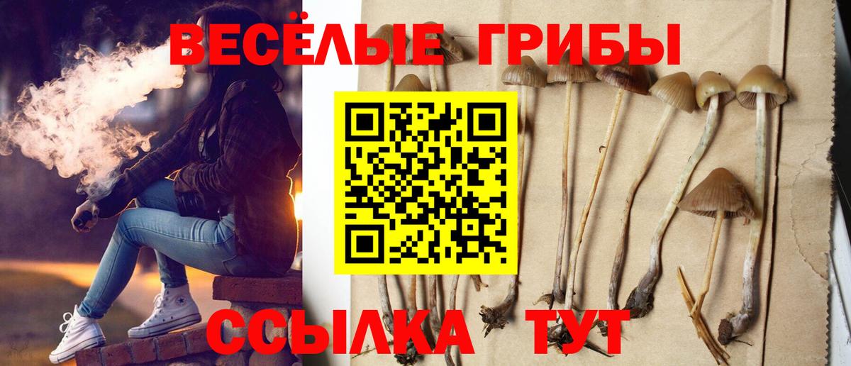 Галлюциногенные грибы мицелий Полевской